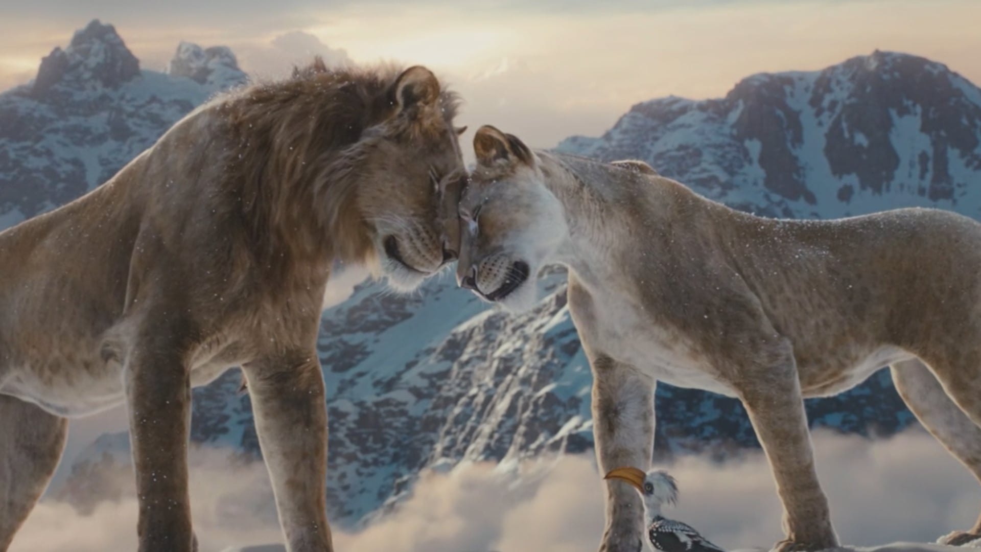 Lit shot from Mufasa: The Lion King, MPC